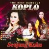 Download track Bimbang