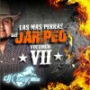 Download track Clasicas De Mas Perras Del Jaripeo