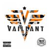 Download track Vaillant