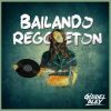 Download track Bailando Reggaeton