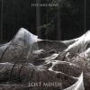 Download track Lost Minds