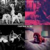 Download track Exciting Moods For Cute Puppies