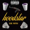 Download track HoodStar