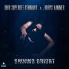 Download track Shining Bright (Extended Version)