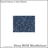 Download track Harmonizing The Mind, Dance Of Sleep And Serenity