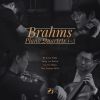 Download track Piano Quartet In G Minor, Op. 25 No. 1: I. Allegro