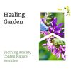 Download track Healing Circle