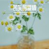 Download track 稻草人在田野