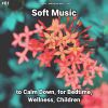 Download track Soft Music, Pt. 23