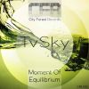 Download track Moment Of Equilibrium