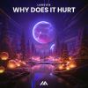 Download track Why Does It Hurt