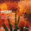 Download track Mozart: Piano Concerto No. 16 In D Major, K. 451: I. Allegro