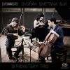 Download track 2. Dvorak: Piano Trio No. 3 In F Minor - II. Allegretto Grazioso - Meno Mosso