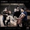 Download track 3. Dvorak: Piano Trio No. 3 In F Minor - III. Poco Adagio