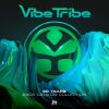 Download track Frequencies (Vibe Tribe Remix)