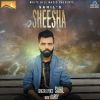 Download track Sheesha