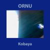 Download track Oyasu