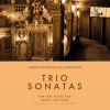 Download track Trio Sonata In G Major, Op. 2 No. 1: I. Amoroso E Andante