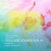 Download track Future Disco Presents Poolside Sounds Vol. VI (Continuous DJ Mix)