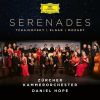 Download track Serenade For String Orchestra In C Major, Op. 48, TH 48: III. Élégie. Larghetto Elegiaco