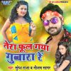 Download track Tera Phool Gaya Gubara Re