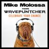 Download track Celebrate Your Chance (Dave Lamond Electro Mix)