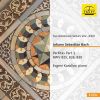 Download track Partita No. 1 In B-Flat Major, BWV 825 V. Menuet I - VI. Menuet Ii'