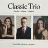 Download track Joseph Haydn, Trio D Dur Hob. XV 16, I. Allegro