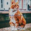 Download track Romantic Ambiance For Resting Cats