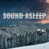 Download track Calming Frozen Tundra Wind Soundscape, Pt. 8