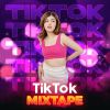 Download track TIKTOK VIRAL MIXTAPE, Vol. 2