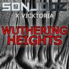 Download track Wuthering Heights (DJ Combo X Skreatch Extended)