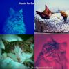 Download track Peaceful (Cute Kittens)