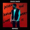 Download track When You Know What Love Is (Majestic Remix)