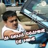 Download track AI GRIJA DOAMNE DE MINE