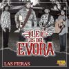 Download track Las Fieras