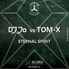 Download track Eternal Spirit (Radio / Video Mix)