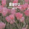 Download track 最美中华