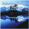 Download track Soothing Waterfalls