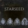 Download track Starseed (I. Amnesia, II. Outsiders, III. Behind The Sun, IV. Awakening)