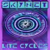 Download track Lite Cycles (Brent Borel Remix)