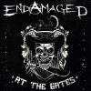 Download track Into The Pit... Endamaged