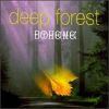 Download track Forest Hymn