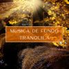 Download track Música De Fundo Tranquila