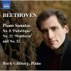 Download track 7. Piano Sonata No. 32 In C Minor Op. 111 - I. Maestoso - Allegro Con Brio Ed Appassionato