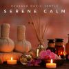 Download track Calm Spa Music