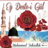 Download track Deli Gönül