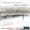 Download track Schubert - Piano Sonata In A Major D 959 - I. Allegro