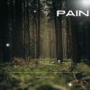 Download track Pain