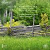 Download track Symphony No. 2 In B Flat Major, D125 1814-15 - IV. Presto Vivace